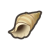 Shell1.png
