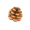 DIYPinecone.png