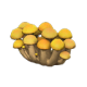 FtrMushroomScreen Remake 4 0.png