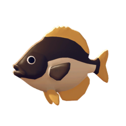 棕白石鲈.png