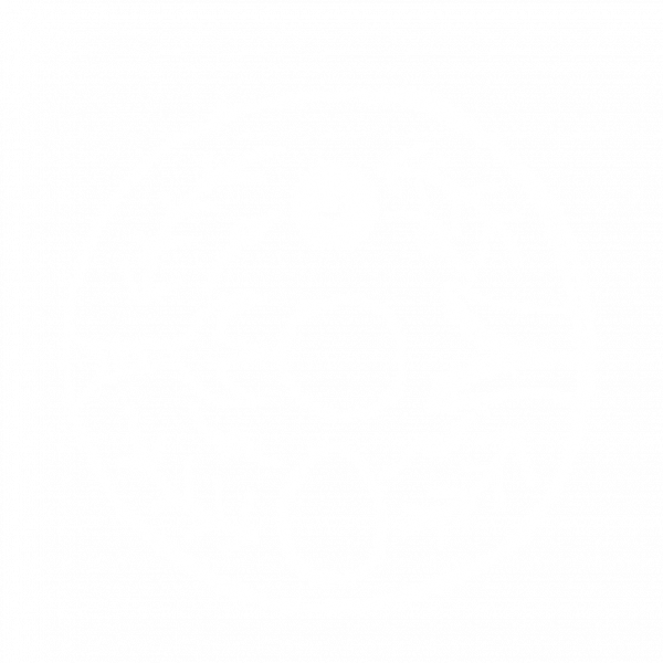 文件:图腾:战术换弹.png