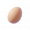 鸭蛋.png