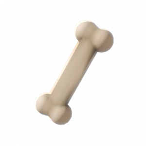 骨头玩具.png