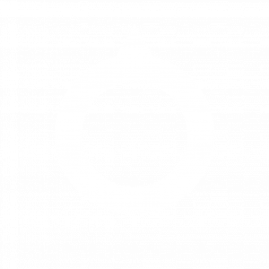 花花戒指.png