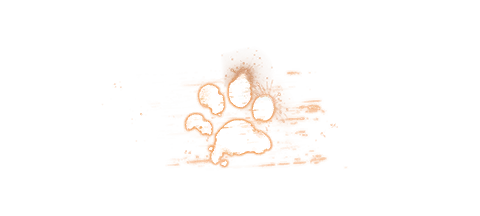 2026年元旦活动文本 签名 “使徒”.png