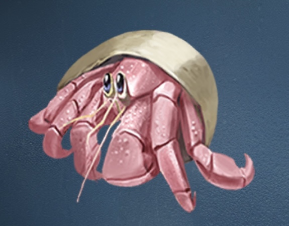 炽夏海声 寄居蟹.png