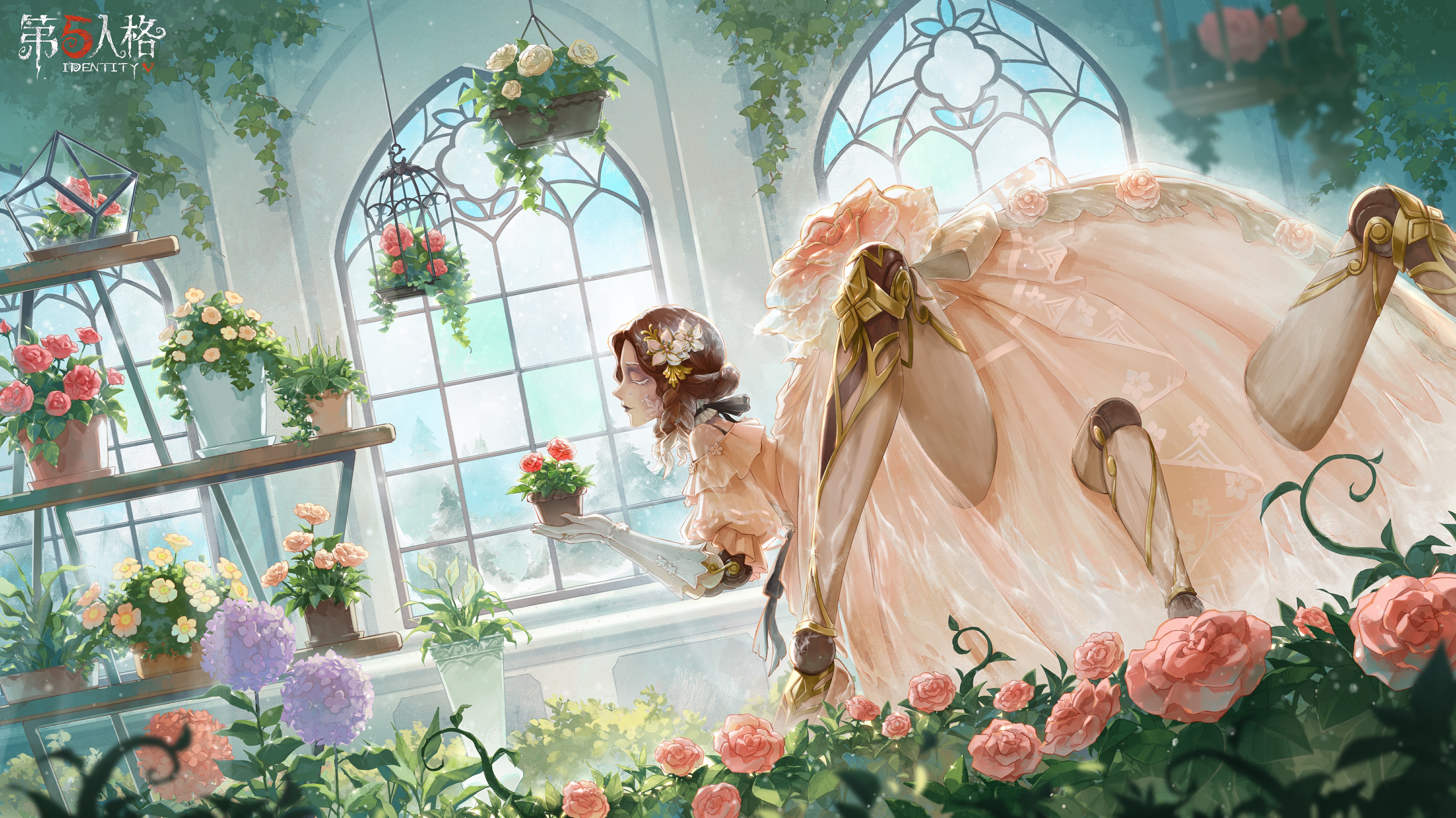 20260102 蜘蛛.jpg