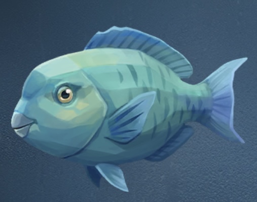 炽夏海声 鹦哥鱼.png