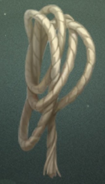 故宫联动 绳索1.png
