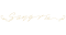 角色侧写签名装饰 歌剧演员-签名.png