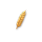 【金穗田园】一级种子.png