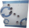 归宿 猫猫爬过 图标.png