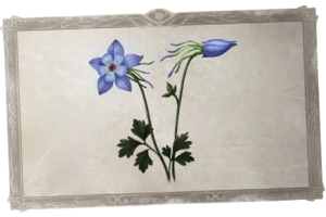 深渊的呼唤IX活动剧情文本 收藏图鉴 圣城花.png