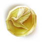 灵光.png