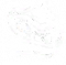 守夜人外在特质1.png
