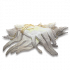 七周年活动文本 证物 沾有荧光物的手套.png