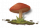 道具 蘑菇（红）.png