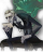 加页手记 异象 缄默的绅士.png