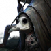 蜘蛛头像2.png