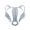 林中童话模式 身份 “獾”.png