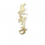 涂鸦 红蝶-签名 图标.png