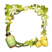 头像框 多多柠檬茶 图标.png