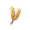 【金穗田园】二级种子.png