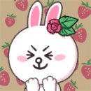 头像 Cony 图标.png