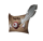 随从 开口信封 图标.png