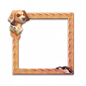 头像框 第41赛季-猎犬 图标.png