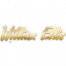 涂鸦 前锋-签名 图标.png