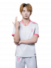 Iron.png