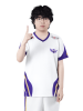 Lion.png
