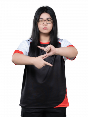 Zz9.png