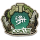 涂鸦 COA8-TE 图标.png