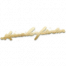 涂鸦 “慈善家”-签名 图标.png