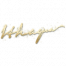 涂鸦 守夜人-签名 图标.png