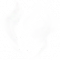 歌剧演员外在特质1.png