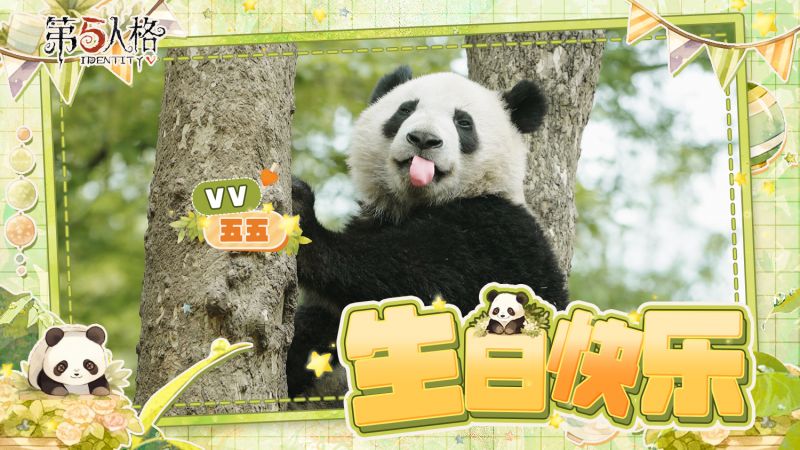 文件:20230725 2023年大熊猫五五生日.jpg