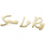 涂鸦 魔术师-签名 图标.png