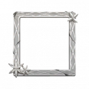 头像框 0901 图标.png