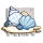 涂鸦 贝壳海声 图标.png