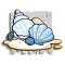 涂鸦 贝壳海声 图标.png