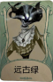 时空之影罕见品质时装 远古绿.png