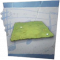 归宿 盛夏绿茵 图标.png
