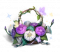 七夕朝颜礼包 商城 图标.png