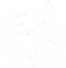 作曲家外在特质2.png