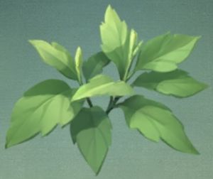 故宫联动 珍贵的草药.png