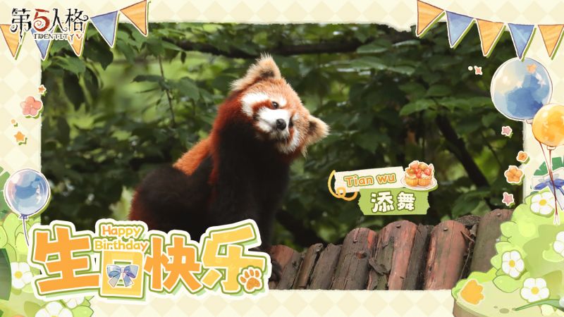 文件:20230618 2023年小熊猫添舞生日.jpg