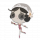 涂鸦 舞女-萌版 图标.png